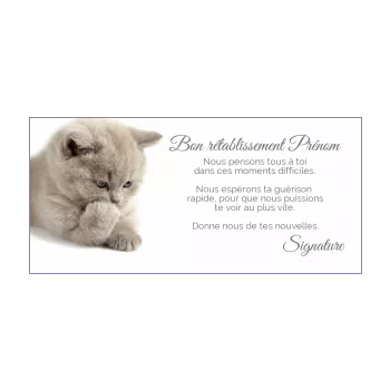 carte chat retablissement animaux 
