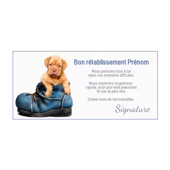 carte chien retablissement bleu chaussure marron animaux 