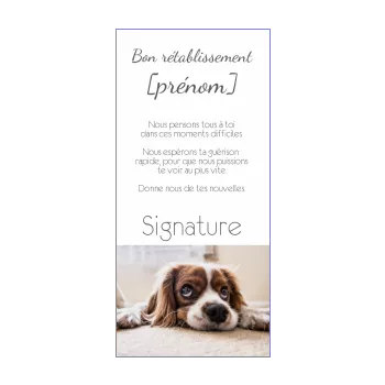carte chien retablissement blanc 