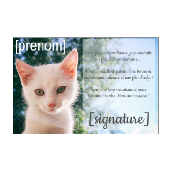 Carte D Anniversaire Chat A Imprimer Gratuit Ou A Envoyer En Ligne