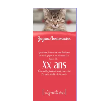 carte joyeux anniversaire chat rouge 
