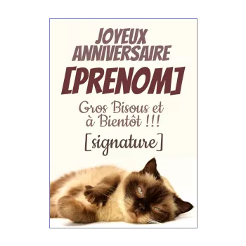 Carte Joyeux Anniversaire Cadeau Chat Enfant gratuit à imprimer (carte 3518)