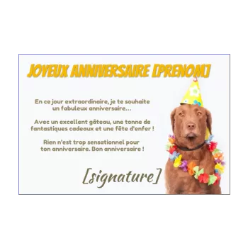 Carte Joyeux Anniversaire Humour Chien Mauve Gratuit A Imprimer Carte 2239