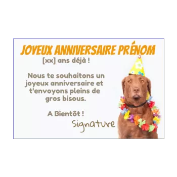 carte joyeux anniversaire humour chien enfant marron animaux 
