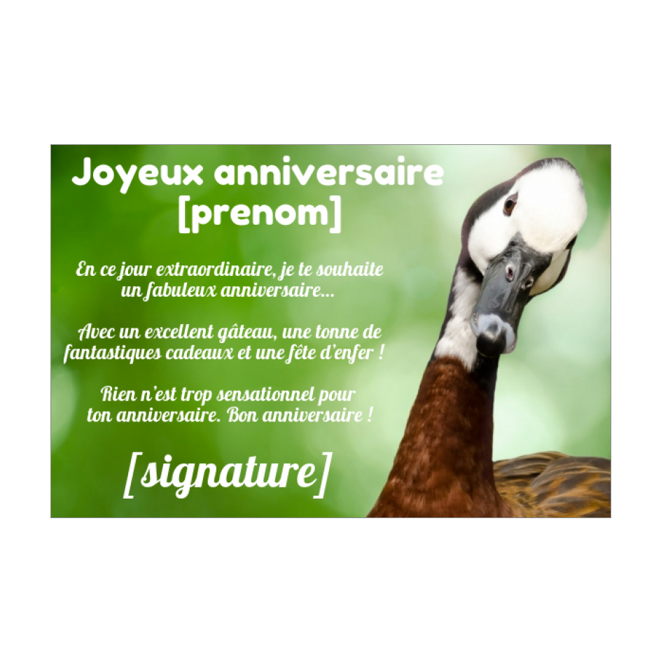 Carte Joyeux Anniversaire Oiseau Vert Animaux Gratuit A Imprimer Carte 2959