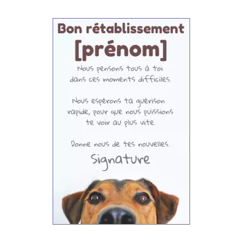 carte chien retablissement marron animaux 