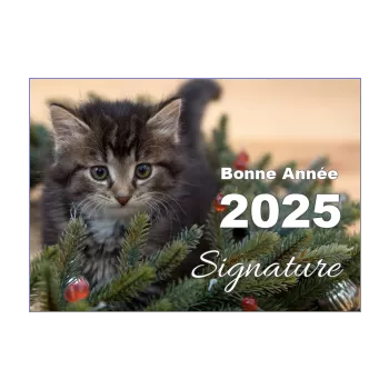 carte voeux meilleur nouvel an chat sapin vert 