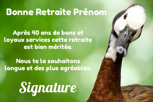 Carte Felicitation Voeux Retraite Oiseau gratuit à imprimer