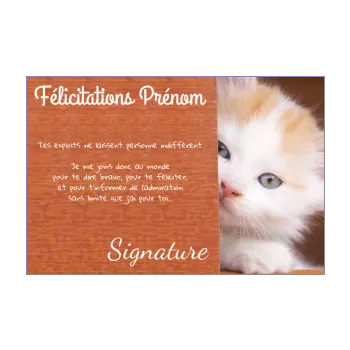 carte felicitation chat marron 