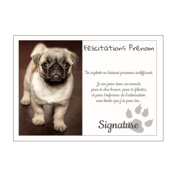 carte felicitation chien marron 