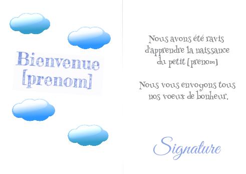 Verso Carte Felicitation Naissance Bebe Bleu à imprimer