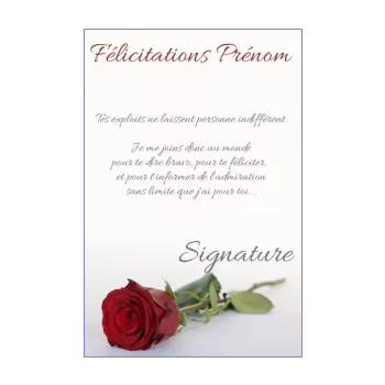 carte felicitation fleur rose rouge 