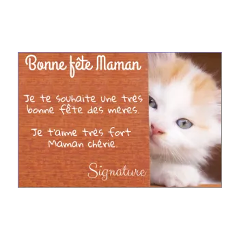 carte maman fete chat blanc marron 