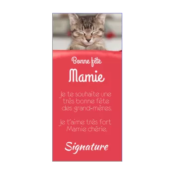 carte grand mere fete chat rouge 