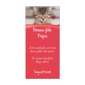 carte papa fete chat rouge 