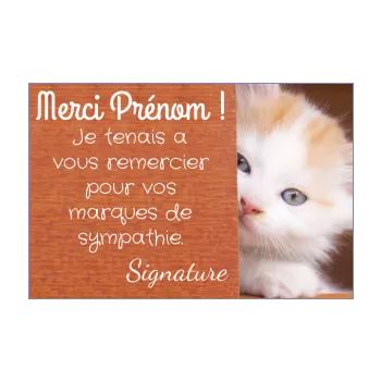carte remerciement chat marron merci 