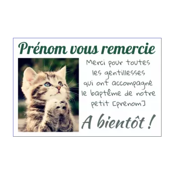 carte remerciement bapteme humour chat merci vert animaux 