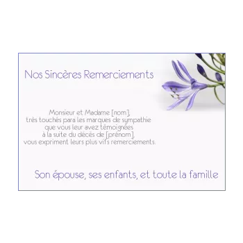 carte remerciement deces condoleances fleur mauve merci 