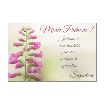 carte remerciement merci 