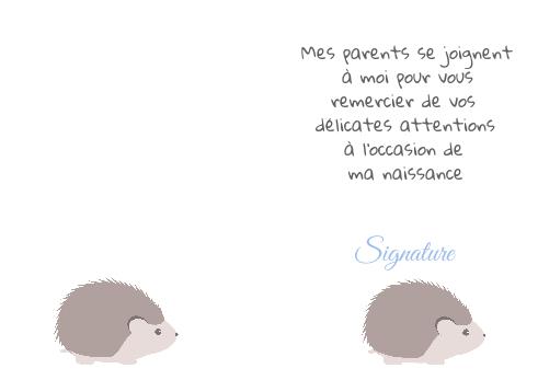 Verso Carte Anniversaire Remerciement Naissance Bebe virtuelle