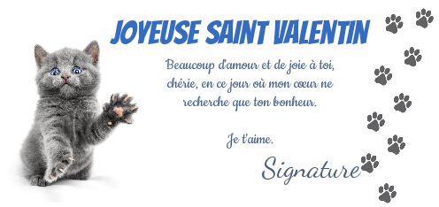 Carte Voeux Saint Valentin Chat Gris Gratuit A Imprimer Carte 1694