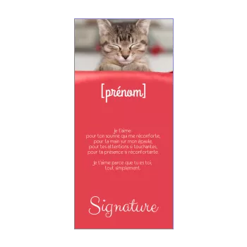 carte voeux chat amour rouge 