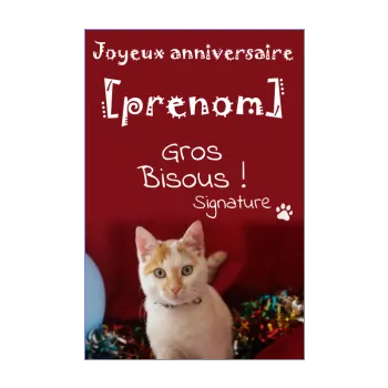carte joyeux anniversaire chat enfant rouge animaux 