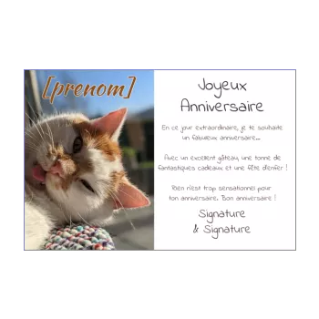 carte joyeux anniversaire humour chat blanc marron 