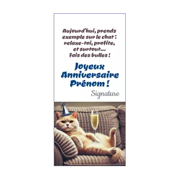 carte anniversaire champagne humour chat animaux 