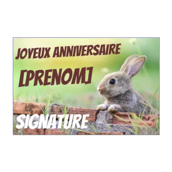carte joyeux anniversaire enfant lapin vert animaux 
