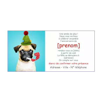 carte invitation anniversaire humour chien bleu animaux 