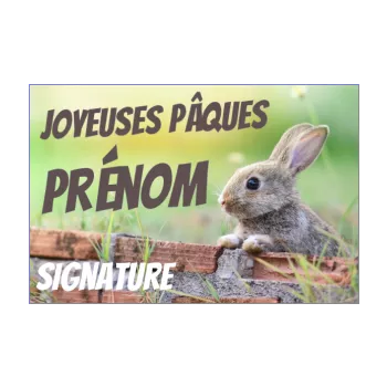 carte voeux fete paques lapin vert animaux 
