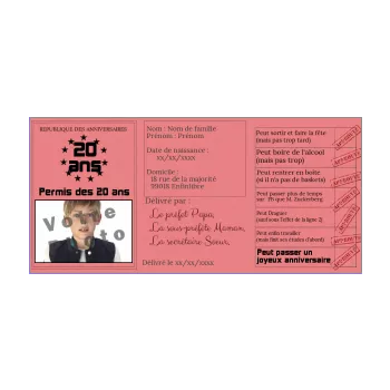 carte anniversaire permis de conduire 20 ans humour rose 