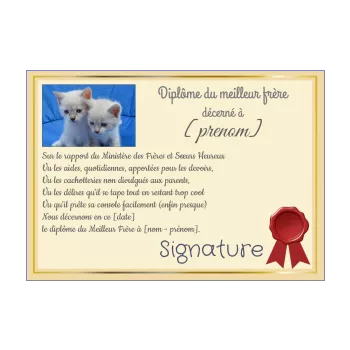 diplome meilleur chat frere bleu jaune 