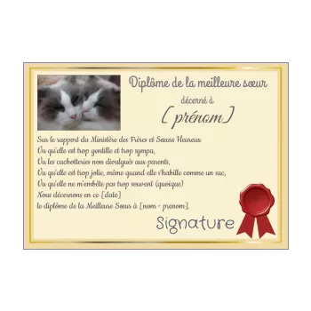 diplome meilleure chat soeur jaune 