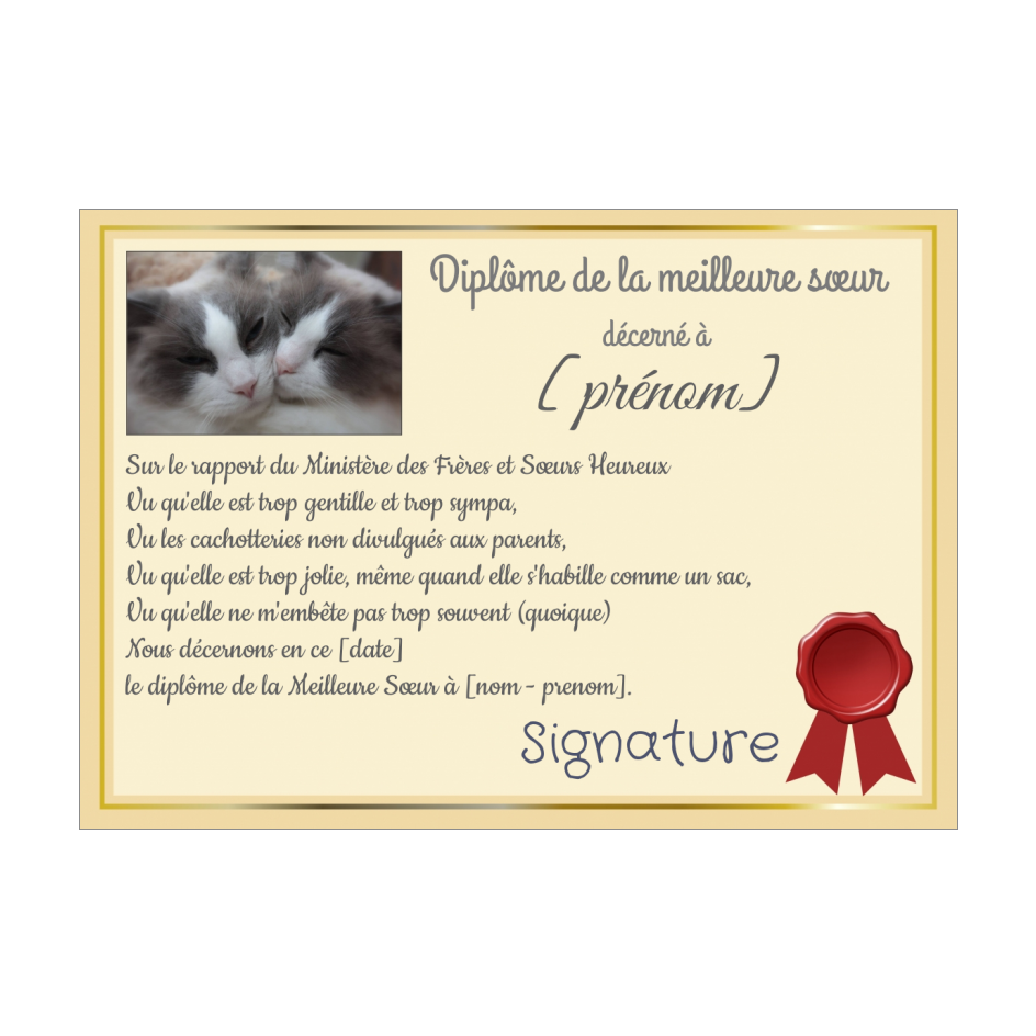 Diplome Meilleure Chat Soeur Jaune A Imprimer Carte 1316