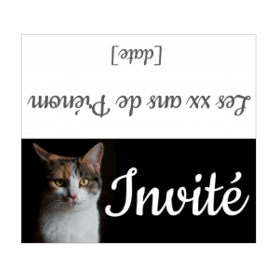 Etiquette Anniversaire Table Chat Noir Animaux A Imprimer Carte 342