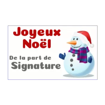 etiquette cadeau noel blanc neige 
