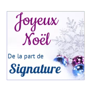 etiquette cadeau noel bleu boule etoile mauve 