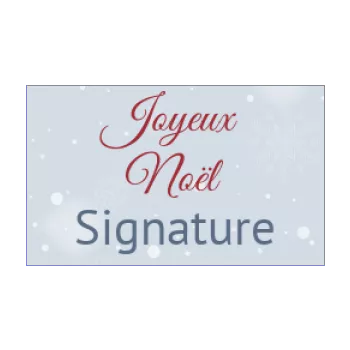 etiquette cadeau noel etoile gris neige 