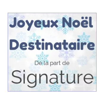etiquette cadeau noel etoile gris neige 