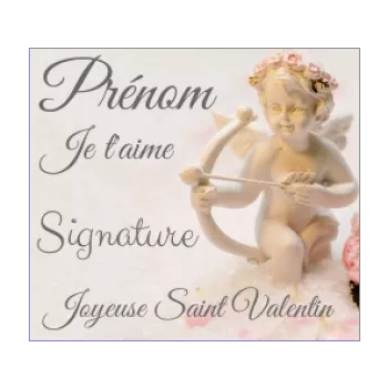 etiquette cadeau saint valentin ange blanc 