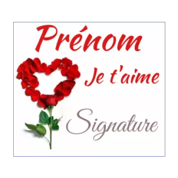 etiquette cadeau saint valentin coeur fleur rose rouge 