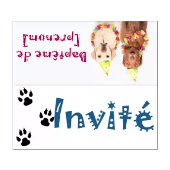 etiquette bapteme table chien animaux 