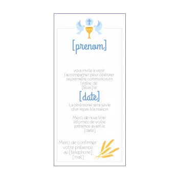 faire part communion oiseau bleu dessin garcon 