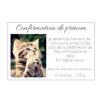 faire part invitation confirmation humour chat 