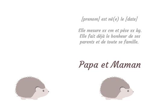 Verso Faire Part Naissance Bebe Bleu à imprimer