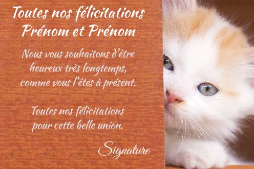 Carte Felicitation Mariage Chat Marron Gratuit A Imprimer Carte 484