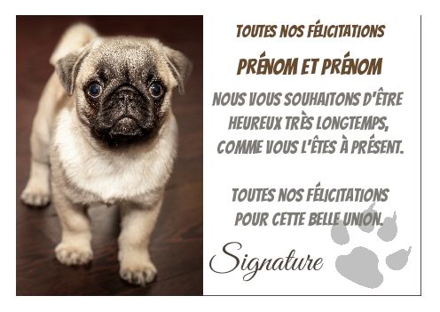 félicitations les animaux