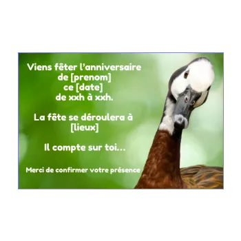 carte invitation anniversaire oiseau enfant vert animaux 